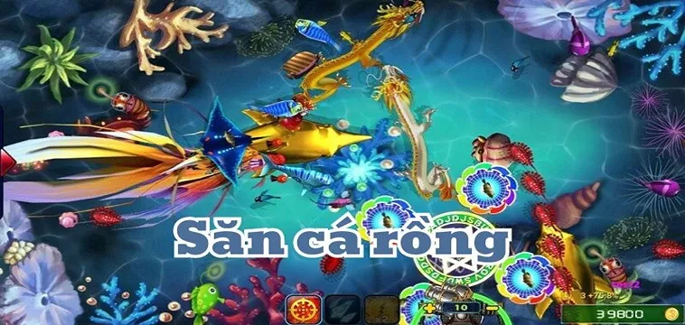 Cách Chơi Bắn Cá Rồng GO88 Dễ Thắng Dành Cho Tân Thủ 2025 2 Cách Chơi Bắn Cá Rồng GO88 Dễ Thắng Dành Cho Tân Thủ 2025