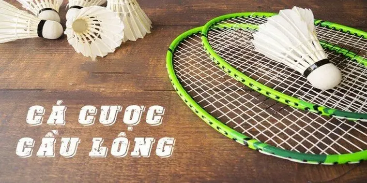 Bí Quyết Chơi Cá Cược Cầu Lông GO88 Thắng Lớn Mỗi Ngày 2 Bí Quyết Chơi Cá Cược Cầu Lông GO88 Thắng Lớn Mỗi Ngày
